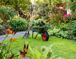 La création de jardins